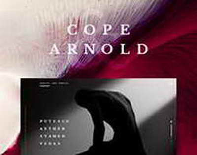 Сооснователь Grinding Gear Games открыл новую игровую студию